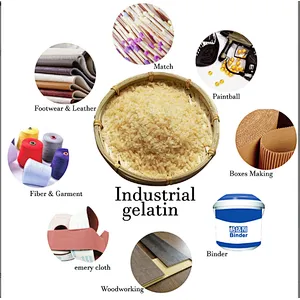 Manufacturers Supply Bulk Pharmaceutical Grade Gelatin